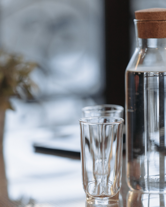 RO filtered water benefits